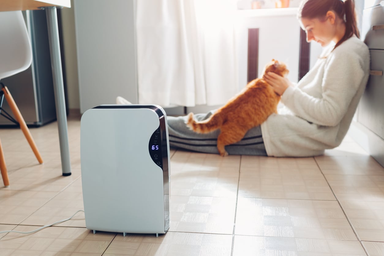 les solutions modernes pour une maison sans humidité