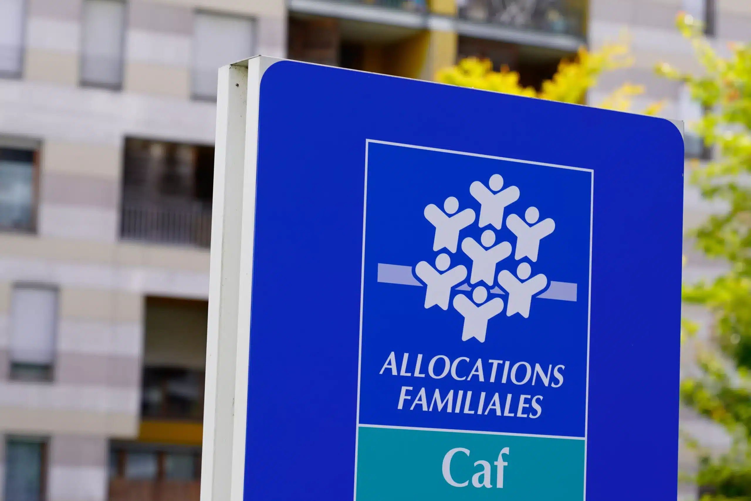 le rsa et les allocations chômage bientôt interdits aux moins de 50 ans, quand tu es jeune, il y a du travail, on fait le point sur la proposition choc