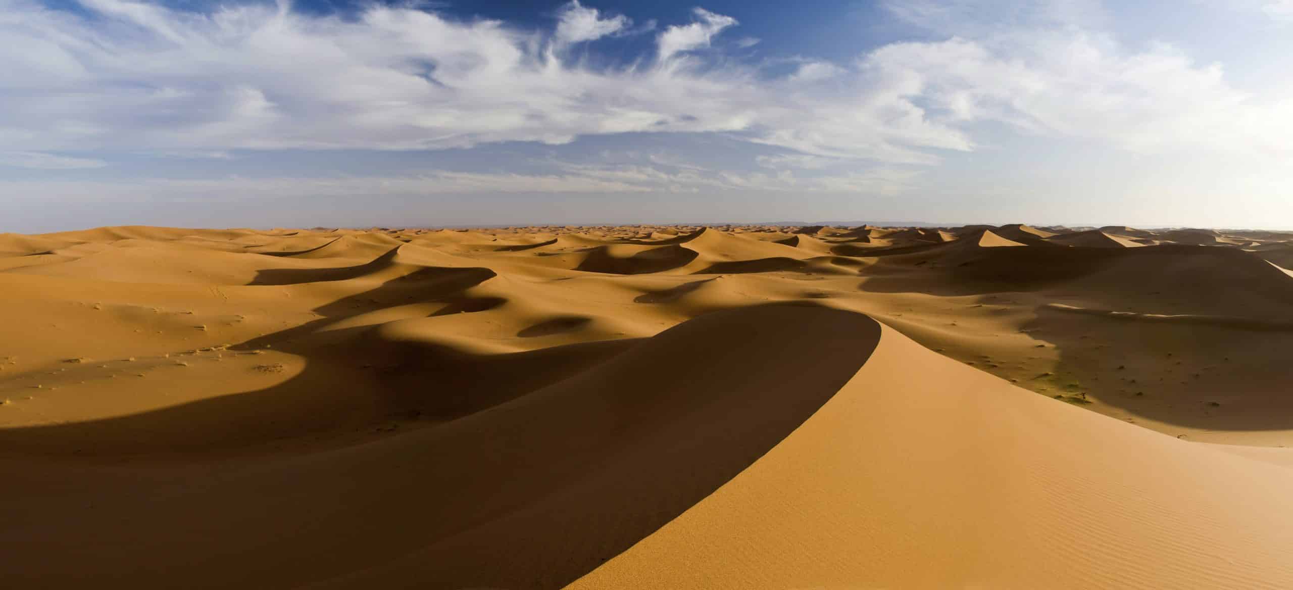 shadows on sand dunes in desert