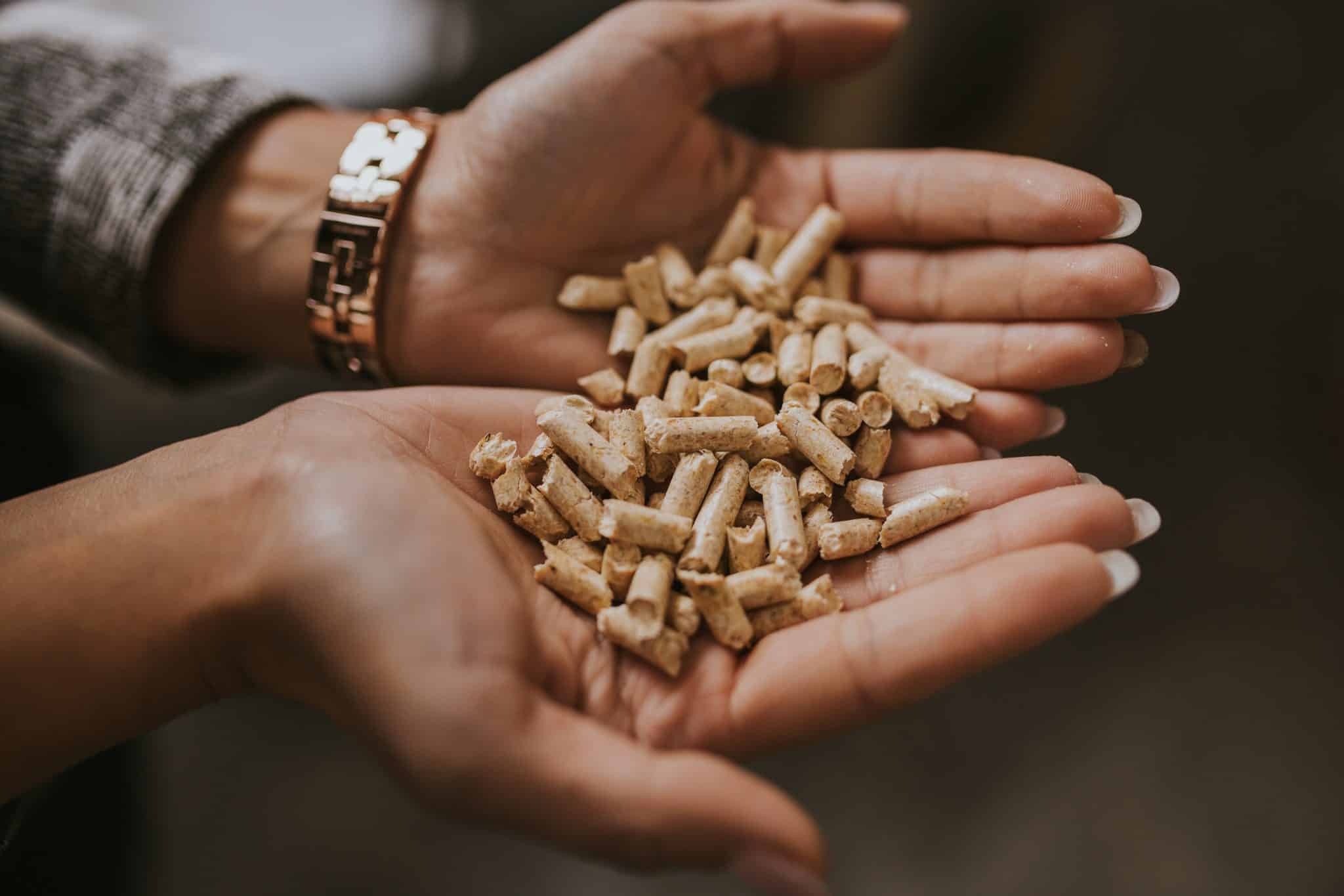 brico dépôt casse le prix des sacs de pellets, c’est la meilleure offre du moment faites le plein pour l'hiver