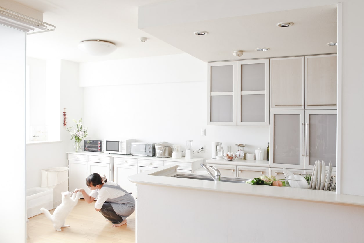 cuisine blanche l'élégance pure au service de votre intérieur