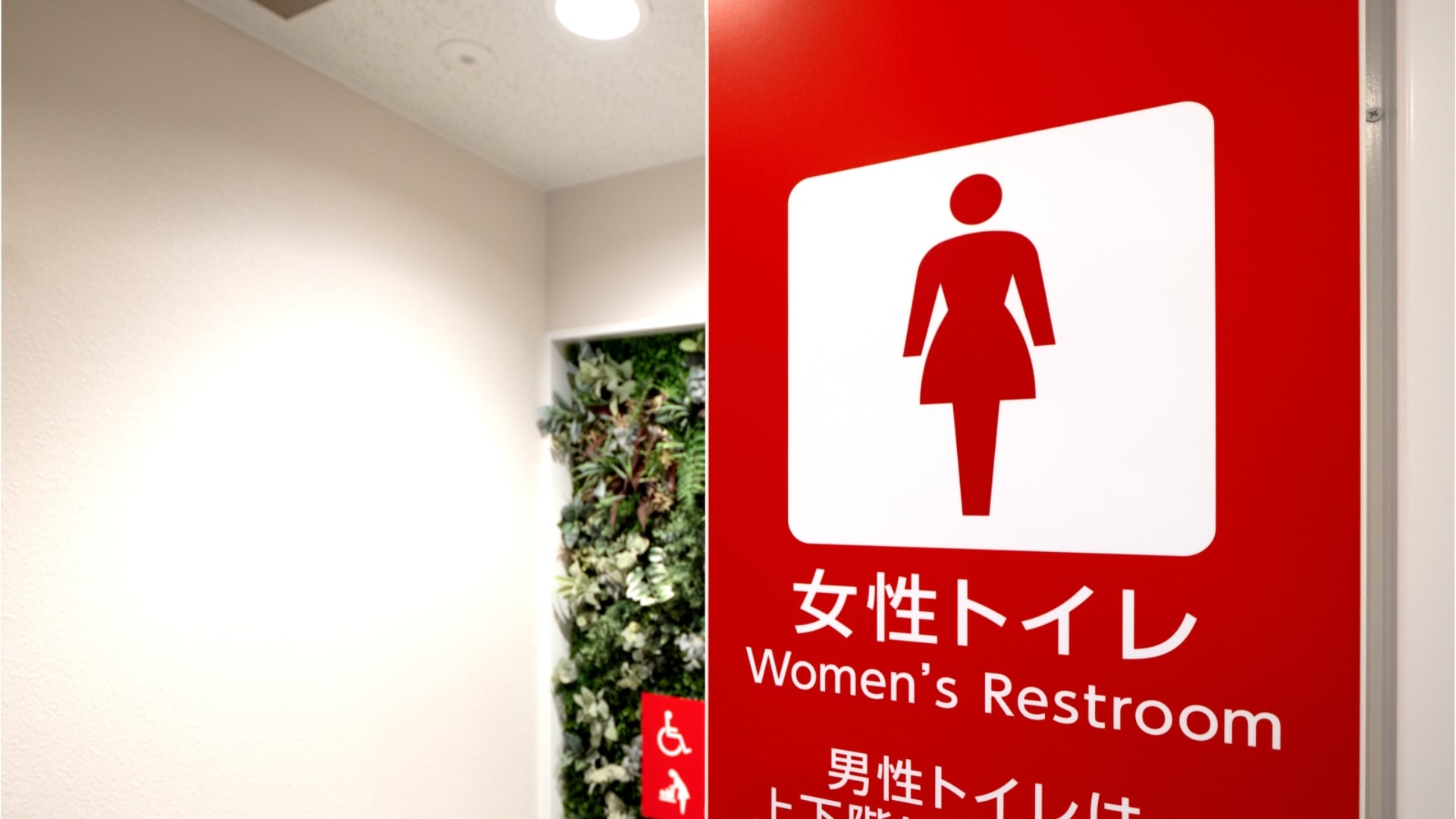 pris de maux de ventre, il a utilisé les toilettes publiques pour femme un jeune français bloqué deux mois à dubaï