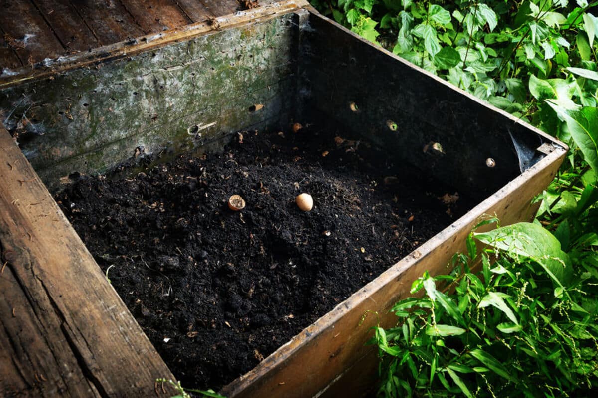 compost