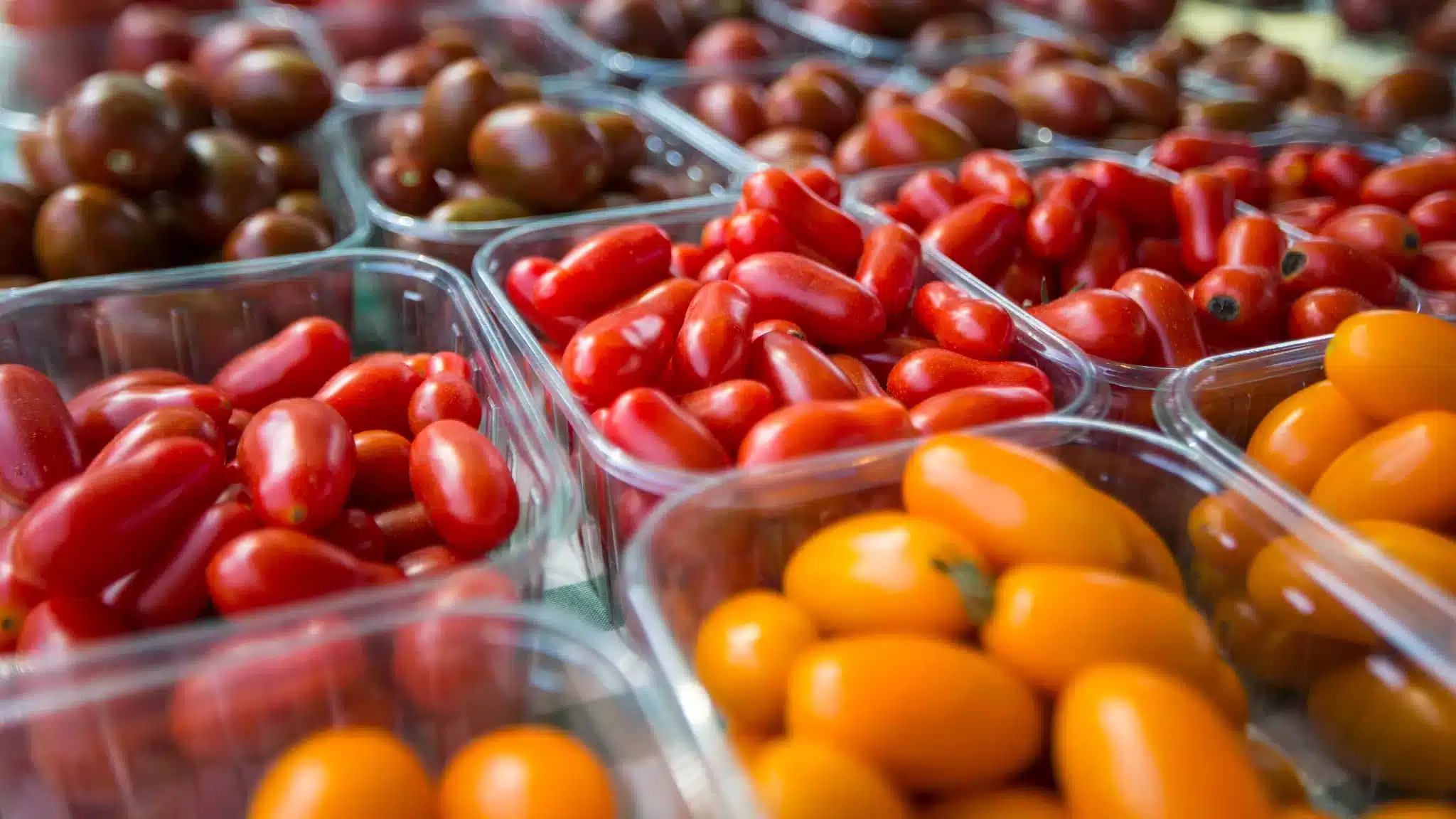 les tomates cerises qui viennent de ces 2 pays sont bourrés de pesticides, voici celles qu’il ne faut plus acheter au supermarché