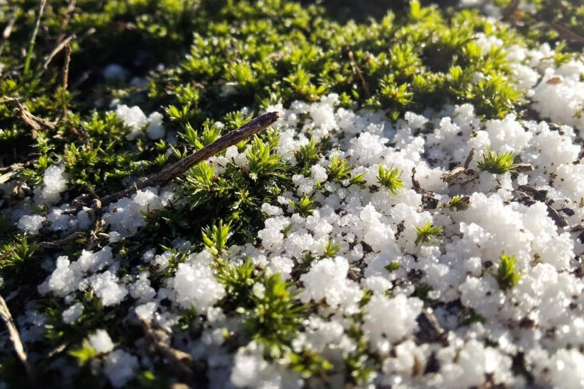 Astuces de grand-mère pour nettoyer une terrasse en bois