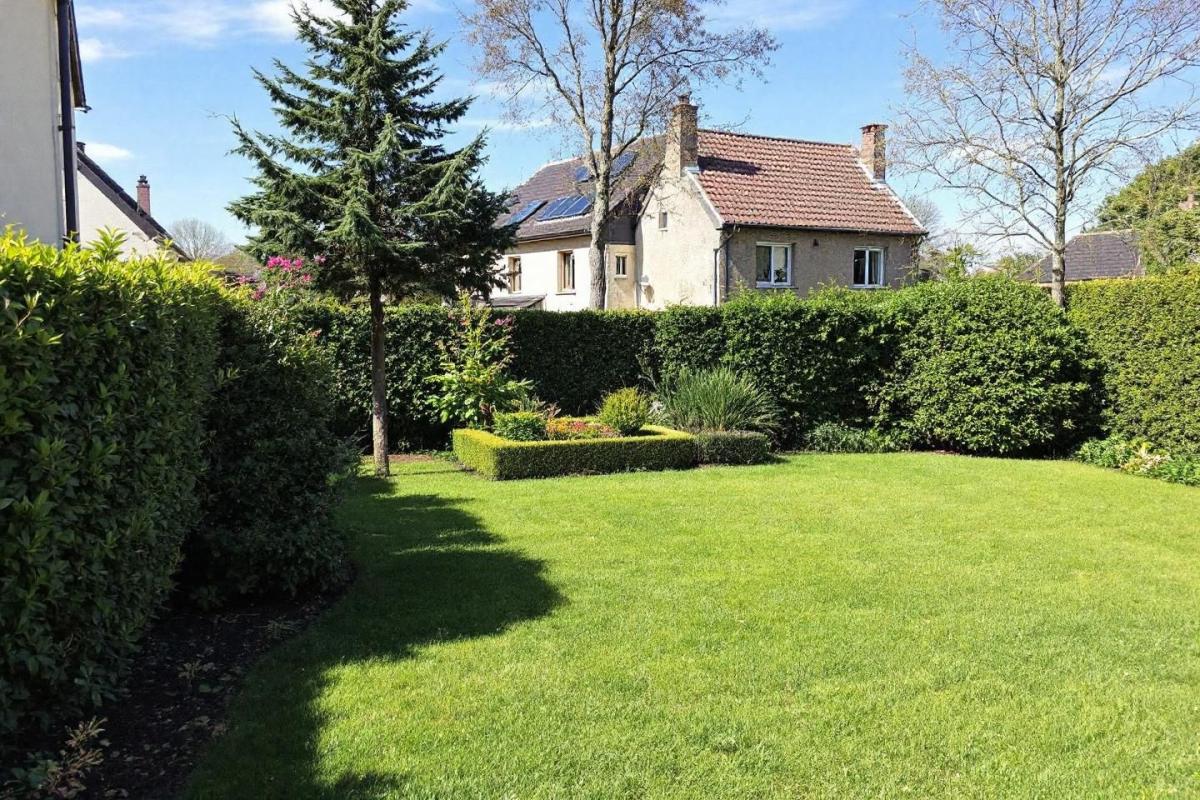 Invasion de puces dans le jardin : Que faire ?