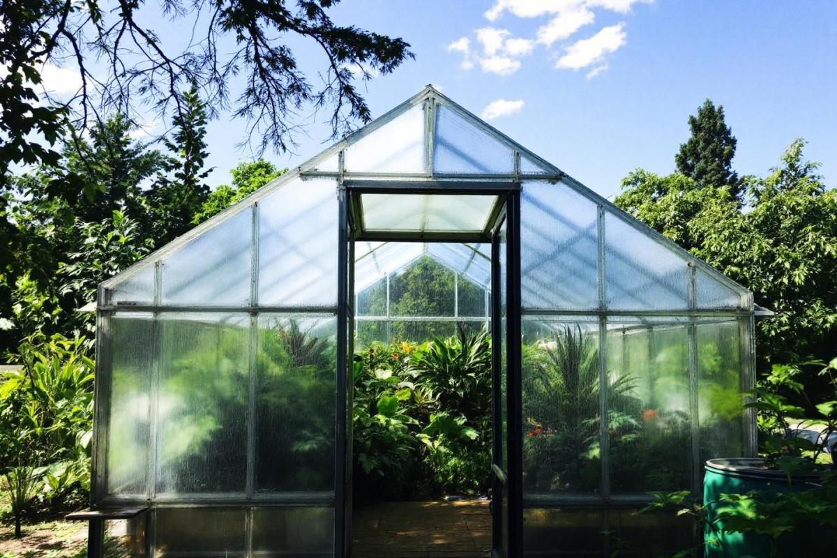 Walipini : comment faire une serre enterrée ?