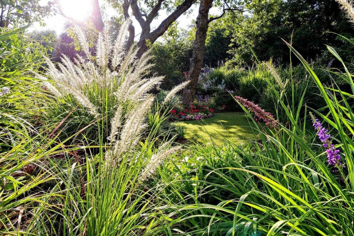 Quels sont les inconvénients du gazon anglais ?