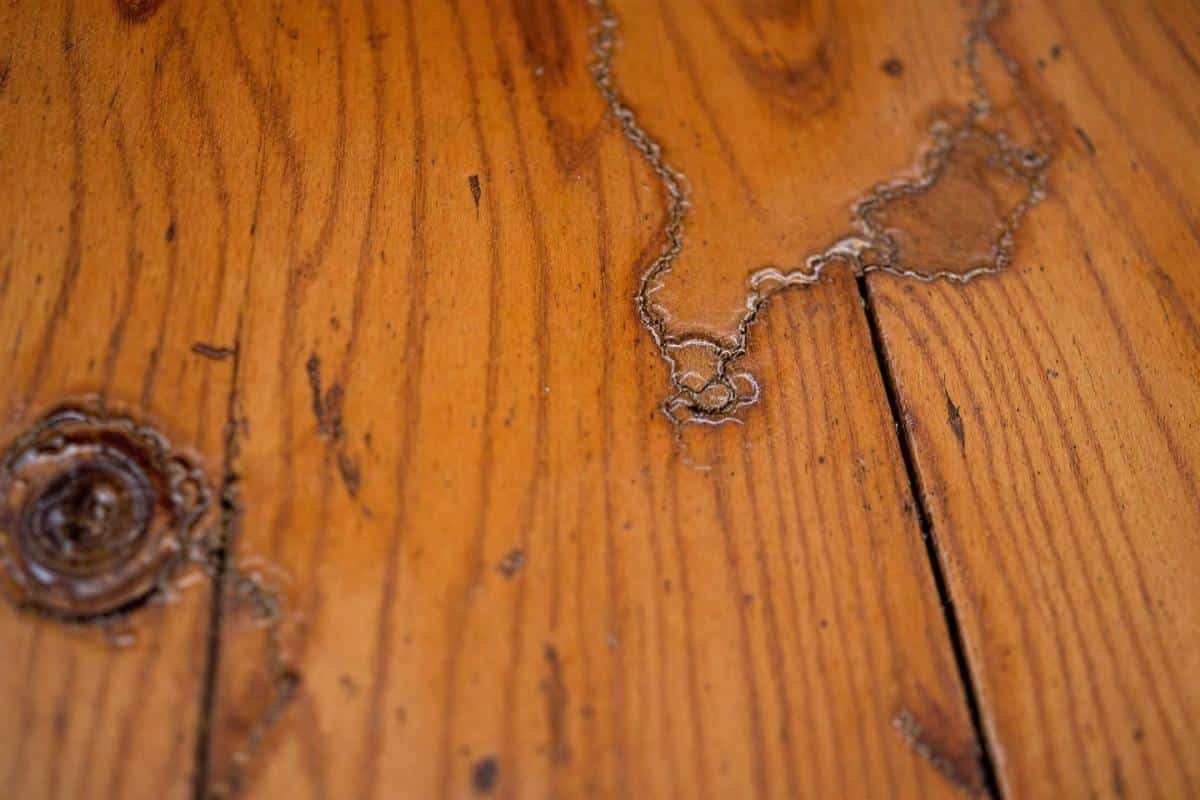 Quel est le temps de séchage d’un parquet après dégât des eaux ?