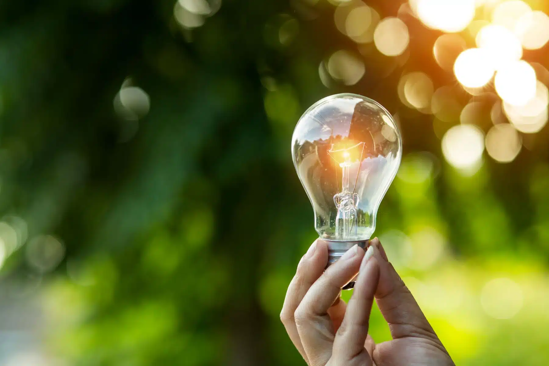 comment trouver la meilleure offre d'électricité pour son entreprise