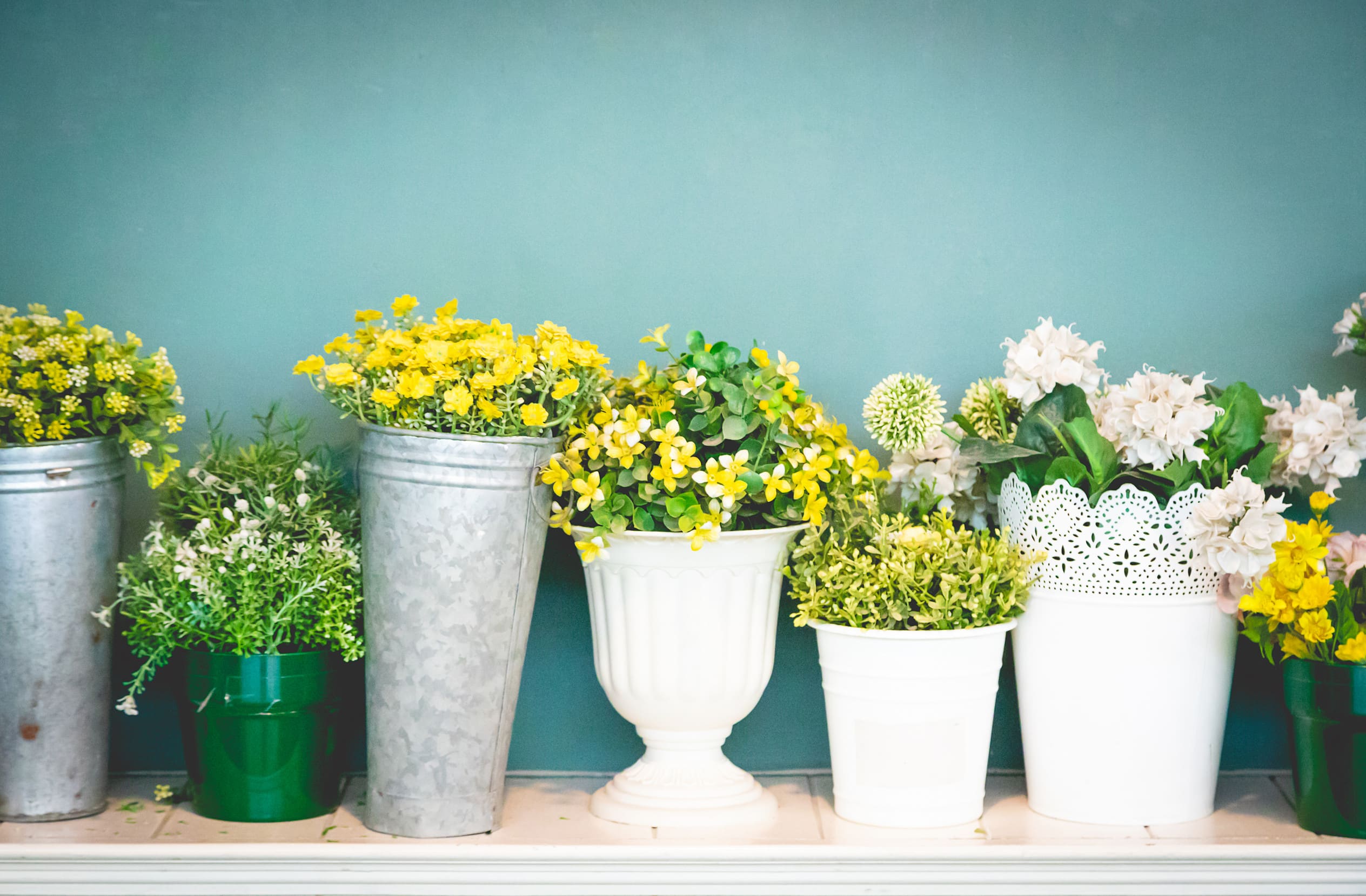 various colorful plastic flowers