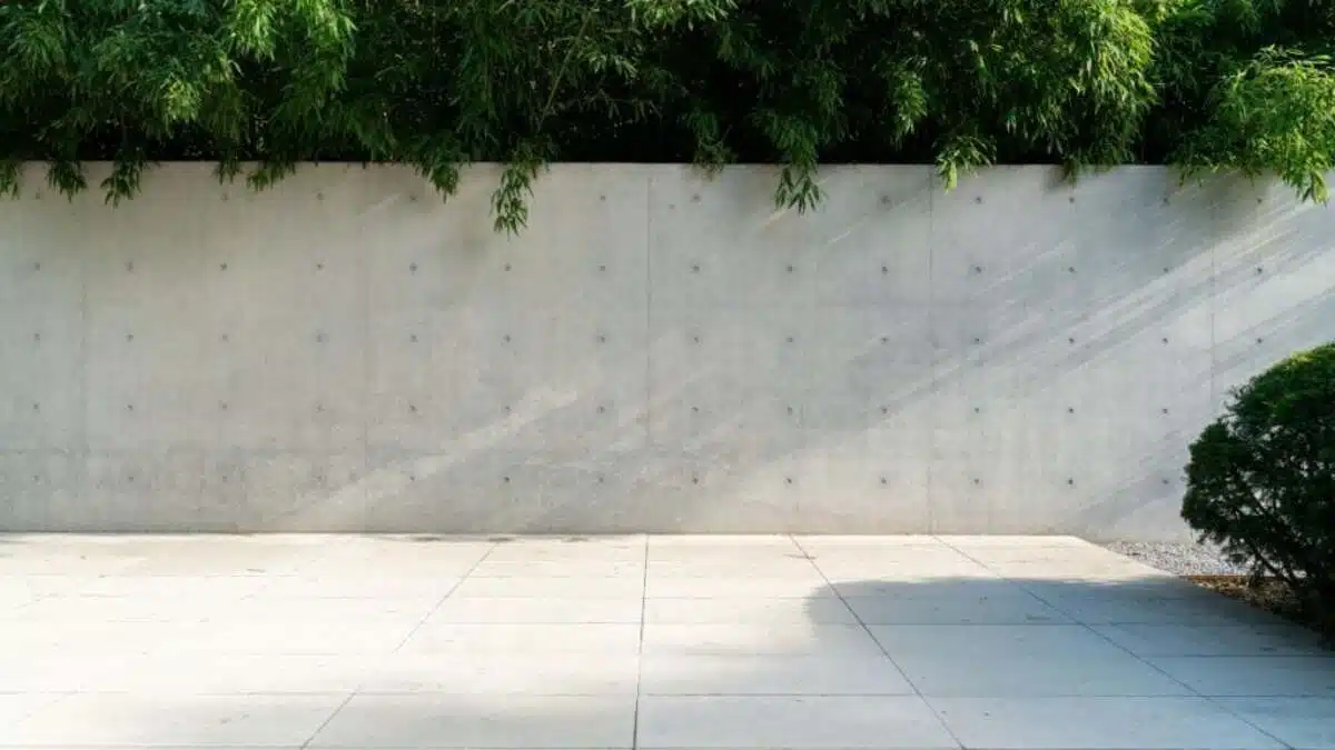 des milliers d'euros parties en fumée cette propriétaire perd la valeur de sa maison à cause d’un mur