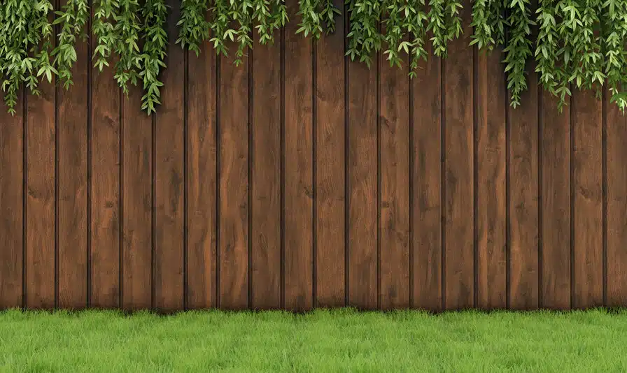garden with old wooden fence