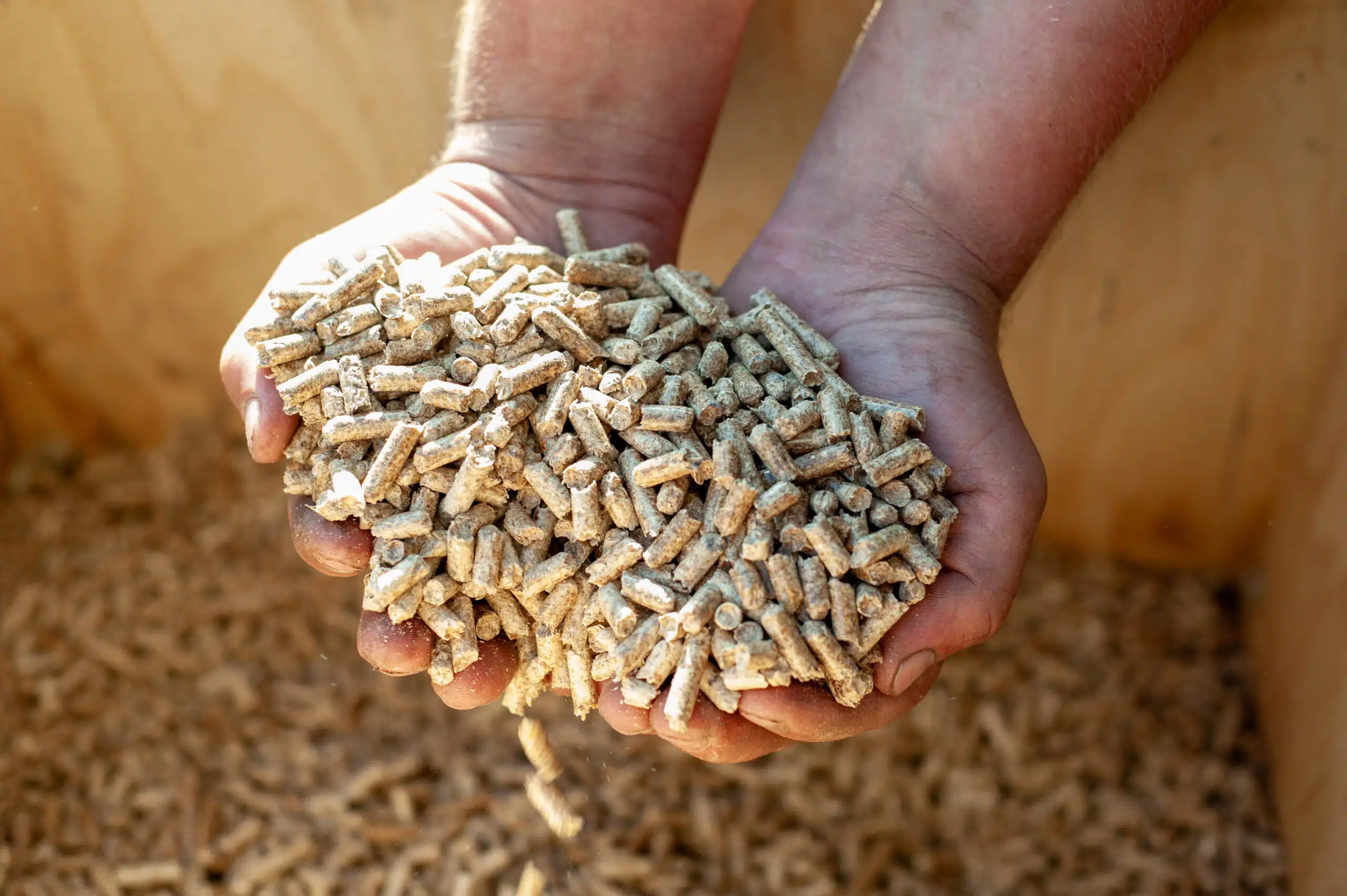 « on ne pouvait pas savoir » leurs pellets stockés depuis l’hiver dernier sont en réalité presque inutilisables