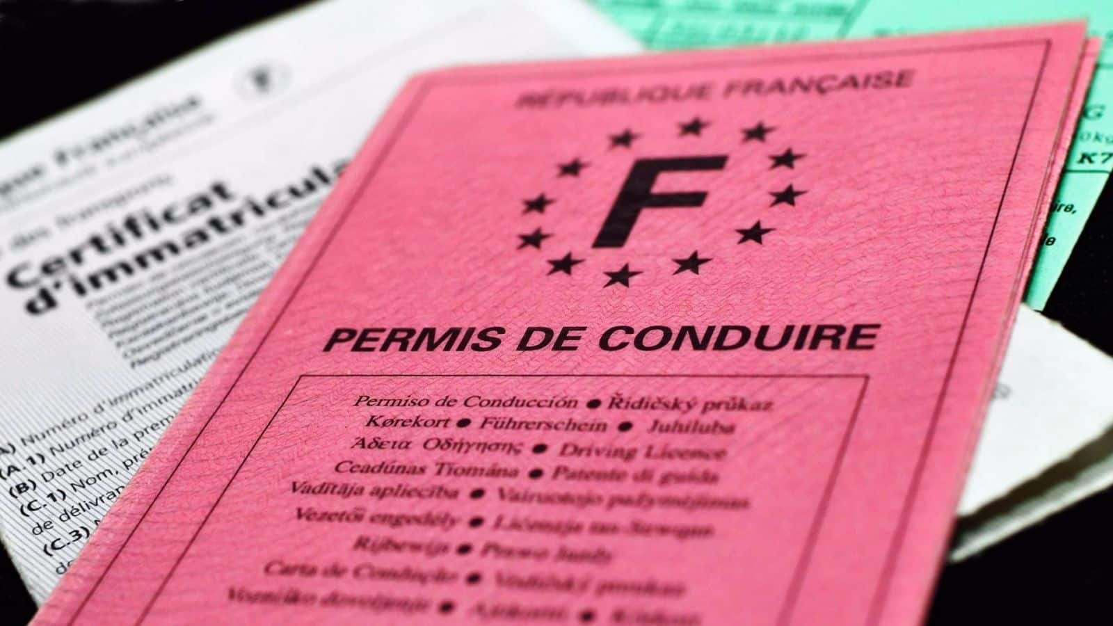permis de conduire voici l’astuce de milliers de conducteurs pour ne plus perdre de points, « c'est horrible et inhumaine »
