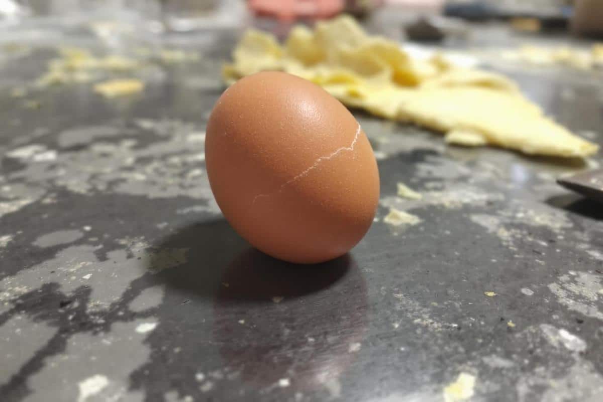 Odeur d'oeuf pourri dans la maison : Causes et solutions