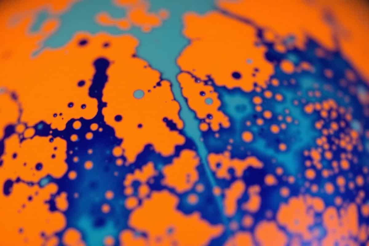 Les plus belles couleurs complémentaires de l'orange