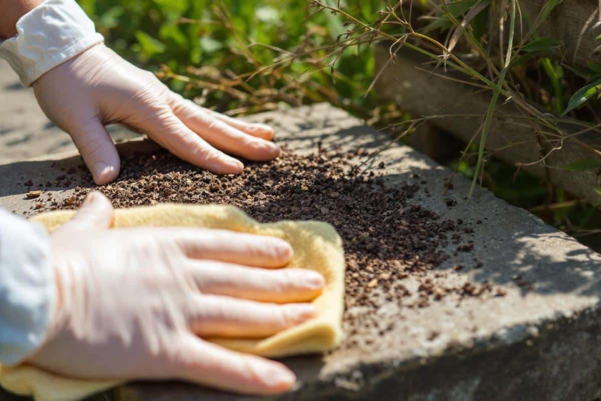 Comment enlever la mousse sur goudron avec du vinaigre blanc ?