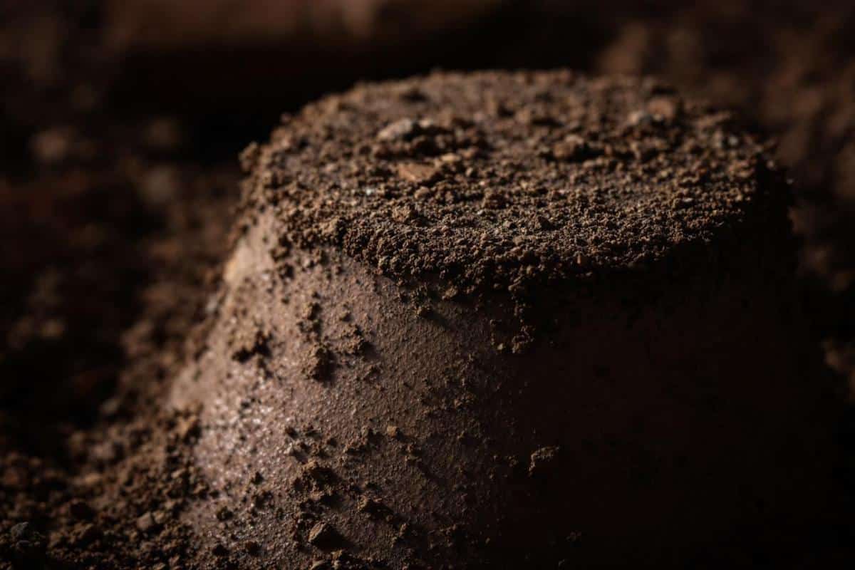 En combien de temps se forme le bistre dans une cheminée ?