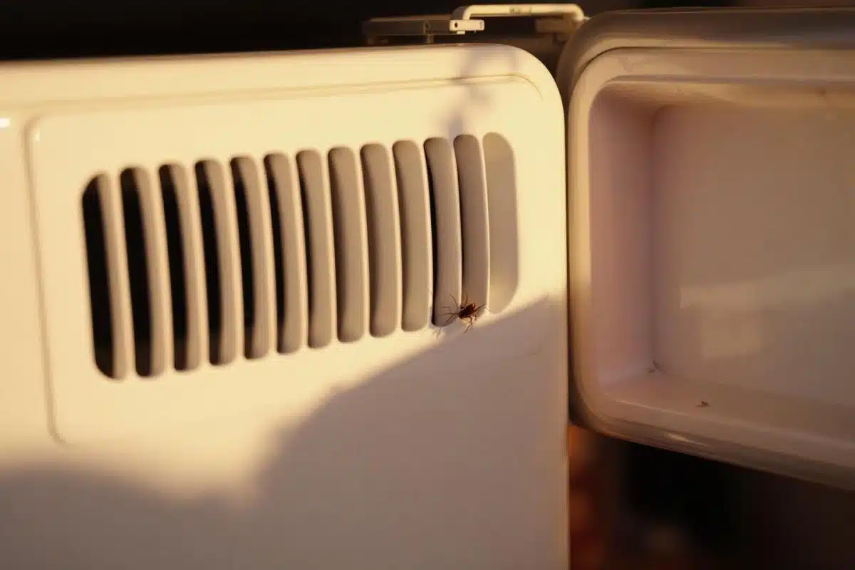 Mon frigo fait un bruit de grillon : Causes et solutions