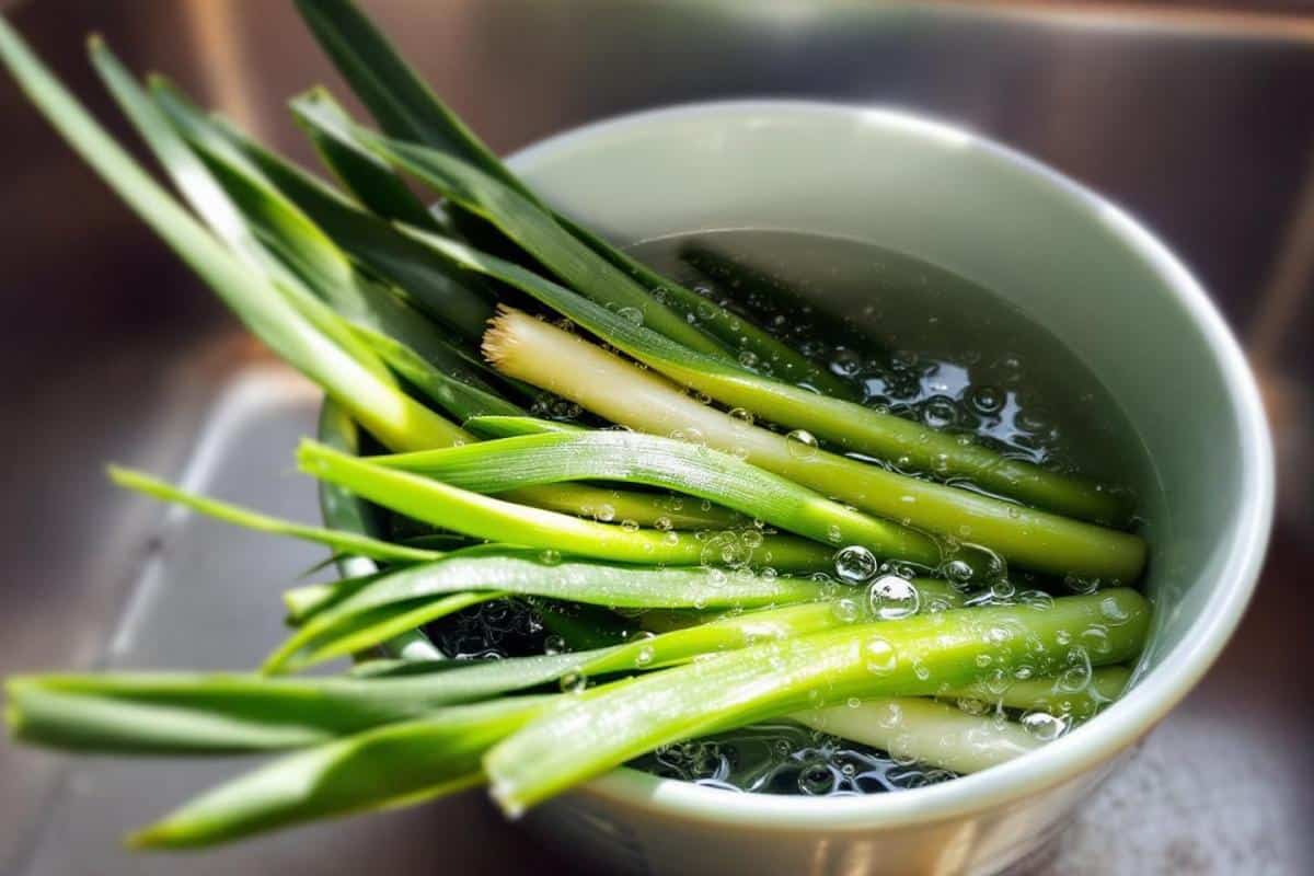 Traiter les poireaux à l’eau de Javel : dosage et risques