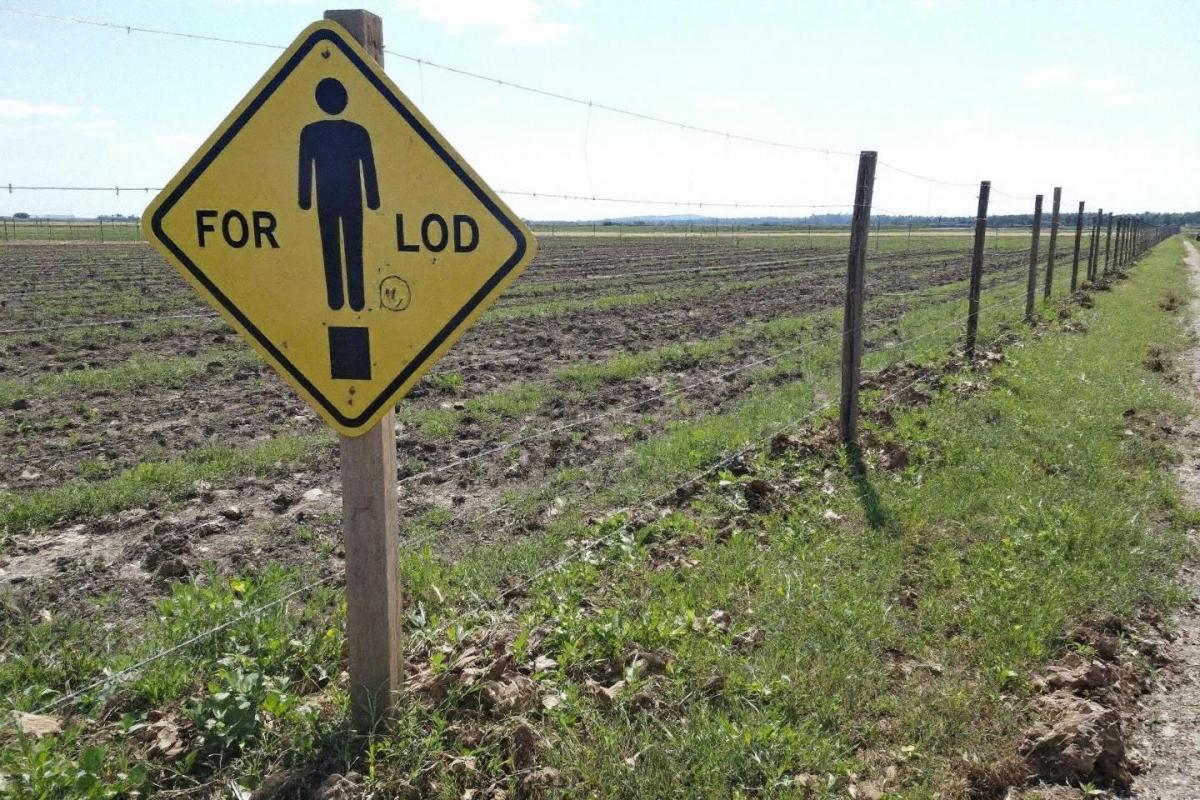 Comment reborner un terrain ?