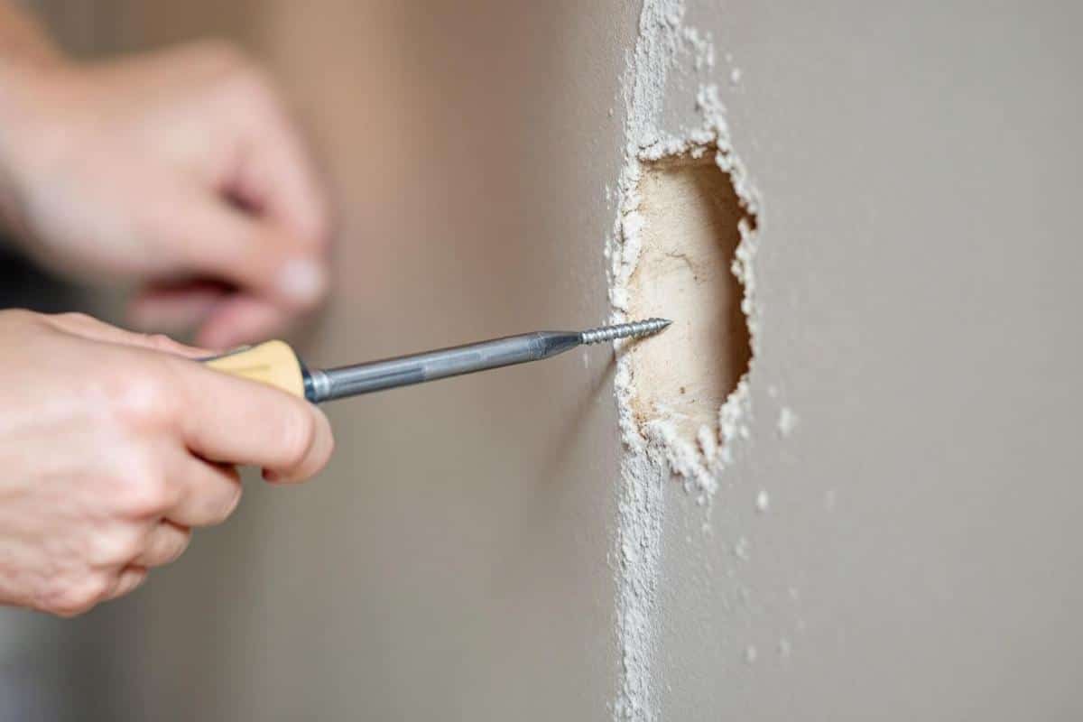 Comment retirer une cheville molly avec un tournevis ?